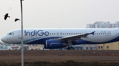 IndiGo