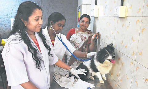 Dr Darshana and Dr Soya K L attending to Julie, while owner Usha holds on to its leash at the District Veterinary Centre, PMG Junction, Thiruvananthapuram | B P Deepu