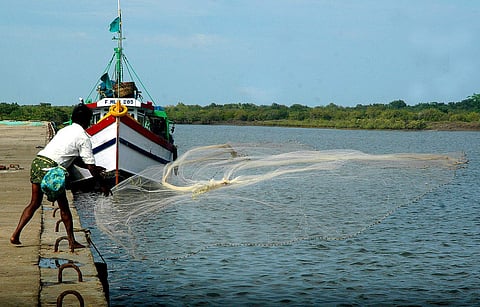 A fisherman goes about his business at the Machilipatnam Port. (Photo | EPS)