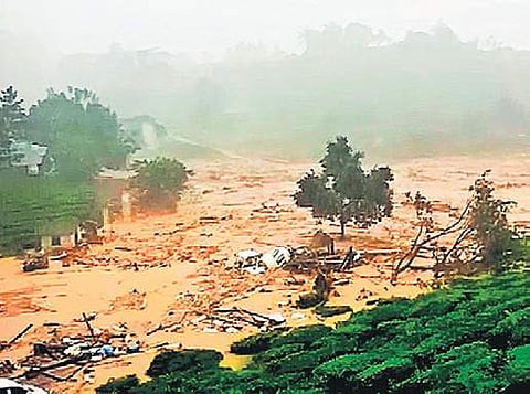 Landslide near Puthumala at Meppadi in Wayanad on Thursday | Express