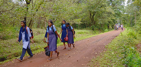 Schoolchildren in Khanapur taluk walk to school. (Photo | Ashishkrishna HP, EPS)