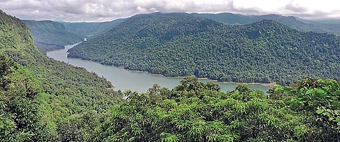 Sharavathi sanctuary.