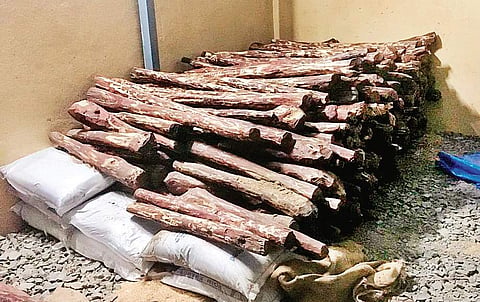Image of red sanders used for representational purposes only. (Photo | EPS)
