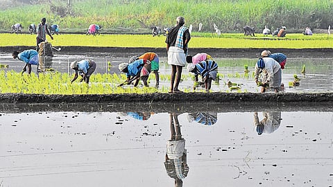 Kharif foodgrain production