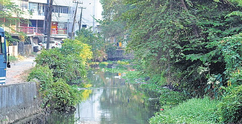 Encroachment on Thevara-Perandoor canal | A Sanesh