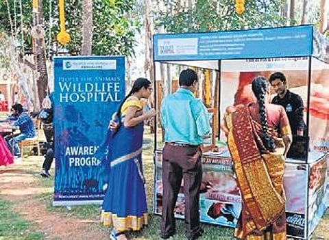 A PfA stall at Shruthi Parthasarathy’s wedding venue | Special Arrangement