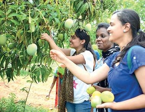 Agritourism, the new addition to tourism world