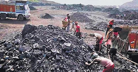 Cabinet opens up coal mining