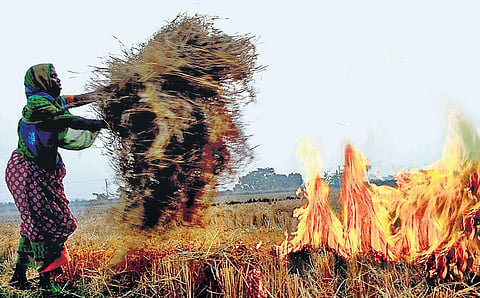 The share of stubble burning in the national capital’s PM2.5 concentration was 16 per cent on October 26.
