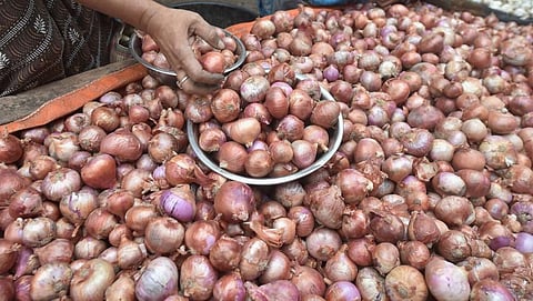 A customer buys onions at a wholesale market as the vegetable prices continue to soar in the country in Kolkata Wednesday Oct. 28 2020. (Photo | PTI)