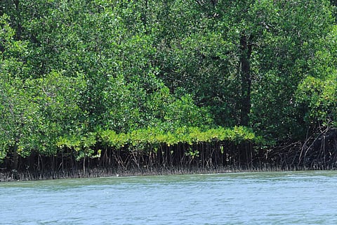Representational image (Photo | EPS)