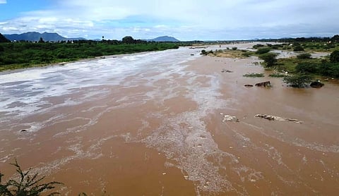 Besides the Cheyyar river, 35 major water tanks maintained by WRD are in full flow in the district.