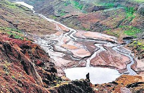 Mahadayi river