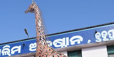 A 32 feet high scrap sculpture of giraffe, made by students of Government ITI Berhampur. (File Photo | EPS)