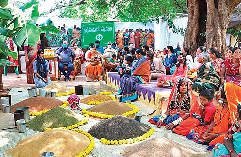 Suggi Panduga being celebrated at the Deccan Development Society on Saturday