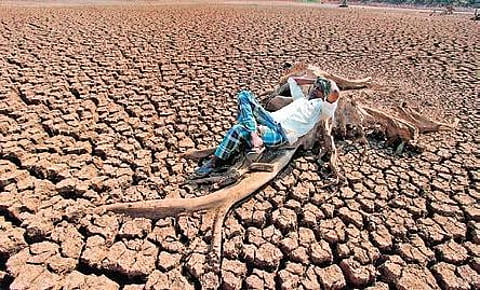 The IISc study shows that these droughts were a consequence of a sudden and steep drop in rainfall in late August | Express