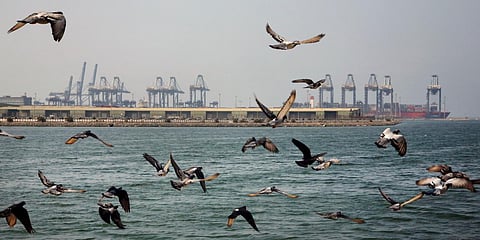Seagulls fly in front of the Red Sea port city of Jeddah, Saudi Arabia. (File photo| AP)