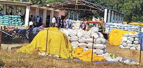 Stacks of Paddy bags lying in the open at Surlikonda procurement centre in Korukonda panchayat due to delay in lifting by millers | Express