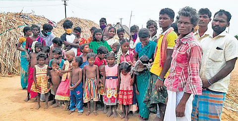 Families belonging to the Irula community in Pudukottai | (Photo | Special arrangement)