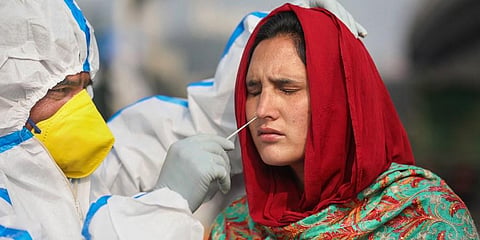 Healthcare worker collecting swab sample for COVID test (Photo | PTI)