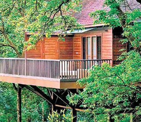 Treehouse at The Tamara Coorg