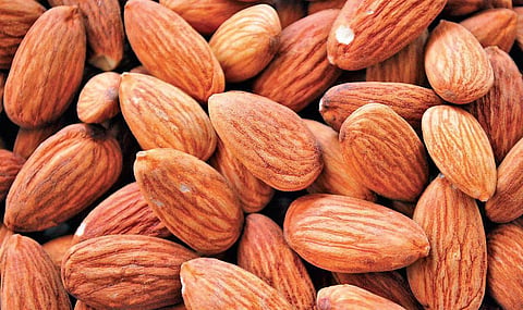 Exam fever: Snacking right to stay stress free