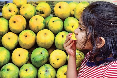 A child relishes a mango at a market near Fun World in JC Nagar | Express