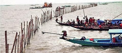 Chilika Lake. (Photo| EPS)