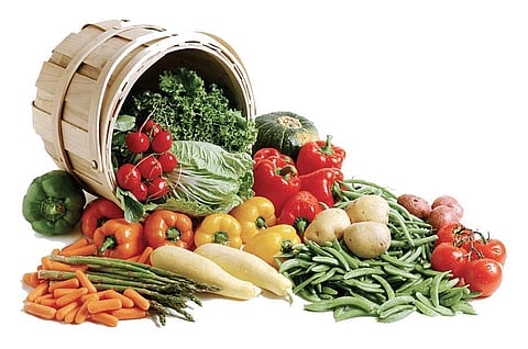 Plant-based food items can curb non-communicable diseases: Experts
