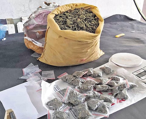 The ganja seized from the accused. (Photo | EPS)