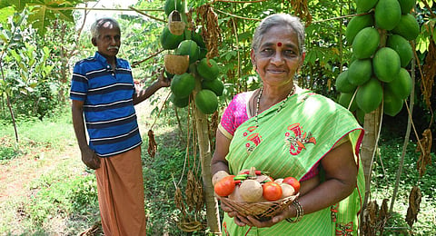 The husband-wife duo shifted to Coimbatore in 2010. (Photo | A Raja Chidambaram, EPS)