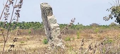 A Menhir found in Hosananjapura village, Bhadravati taluk