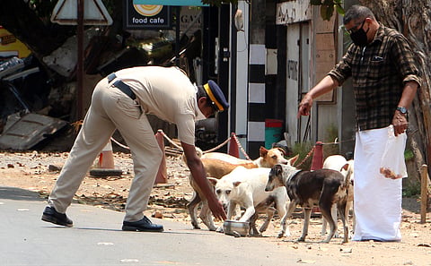 After the announcement of Chief Minister to look after the hunger needs of stray dogs police personnel in the city offering food to street dogs near South Beach in Kozhikode. (Photo/EPS |TP Sooraj)