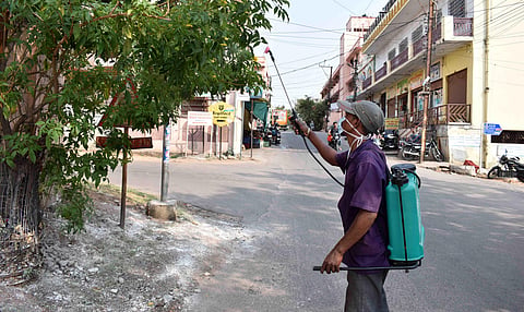 A worker of Secunderabad Cantonment Board spraying disinfectant on a tree at Mahindra Hills in Hyderabad on Tuesday. (Photo | S Senbagapandiyan, EPS)
