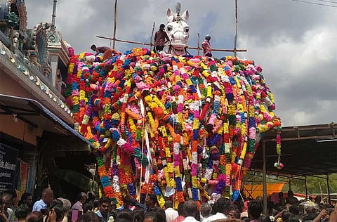 Horse idol with ‘green’ garlands a big hit among devotees