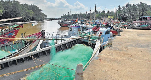 Boats moored at the fishing harbour in Kharinashi due to lockdown | Express