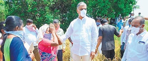 Finance Minister T Harish Rao interact with farmers at Komaravelli mandal in Siddipet district after heavy rain damaged their crops