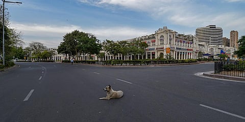 A dog sits in the middle of a deserted road at Connaught Place during the nationwide lockdown in wake of the coronavirus pandemic, in New Delhi. (File photo| PTI)