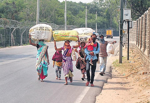 Migrants walk to their hometown in Kamareddy from Hyderabad on Wednesday | Sathya Keerthi
