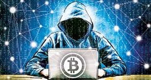Cyber fraudsters rear their heads
