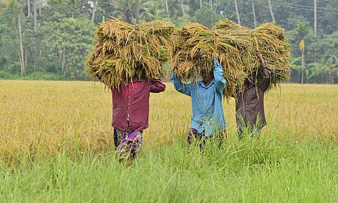 Representational image (Photo: EPSBP Deepu)