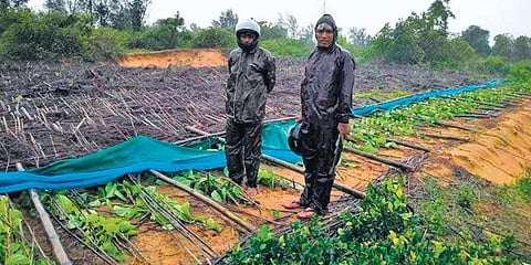 The cyclone has caused damage to some government buildings and structures, affected agriculture and horticulture sectors, houses and power infrastructure. (Photo | EPS)