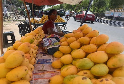 Seasonal fruit mangoes are selling at roadside at Kedareswarapeta in Vijayawada on Friday. (Photo | EPS/Ravindra Babu)