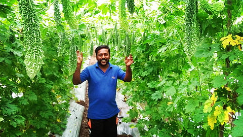 He has been cultivating it in his 1.5-acre lands out of five-acres owned by him and is earning in lakhs every month, which he says, no employer could have paid him that much salary, if he had got a job.