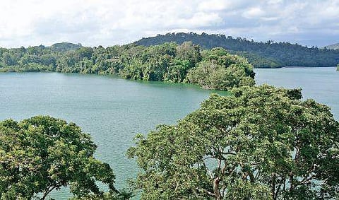 Kerala has about 80 dams, including barrages and diversion projects. (Representational Image)
