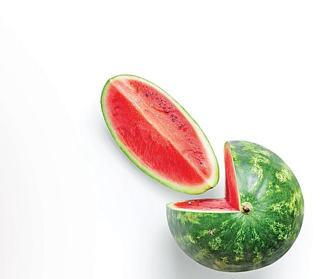 The use of watermelon rind is common in the traditional kitchens of the Konkan region and arid parts of Rajasthan.