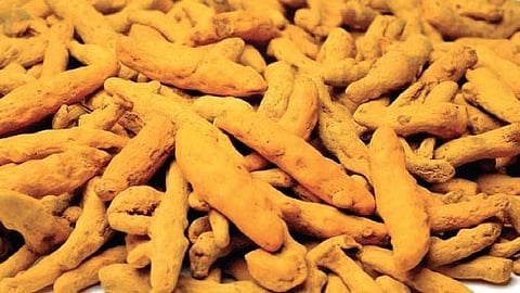 ‘Vocal for Local’ focus on Odisha’s agri products