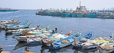 Boats docked at Kasimedu fishing harbour | Shiba Prasad Sahu