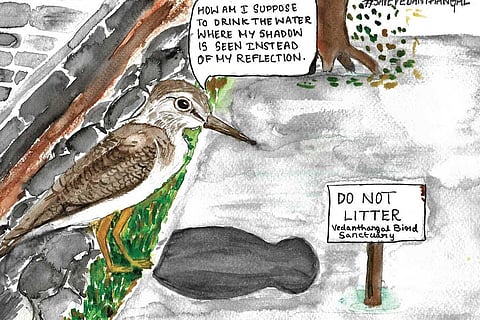 Canvassing to save the sanctuary