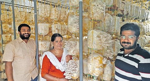 Jithu’s mushrooming idea